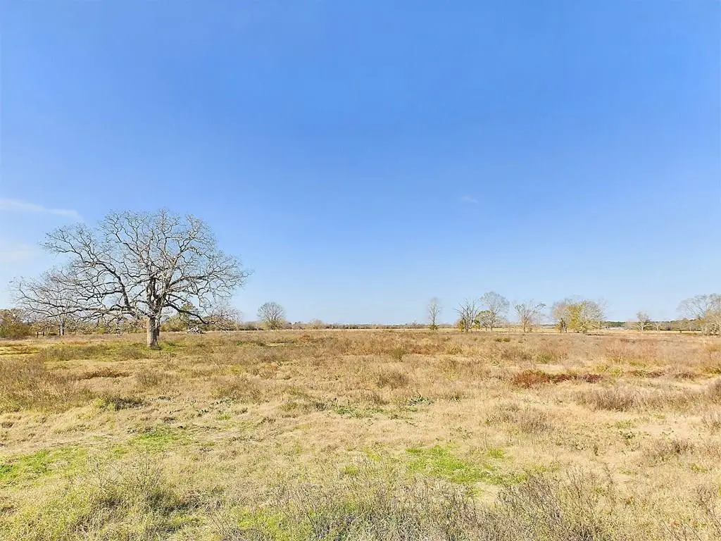 129572; 127628 Fm 844, Huntington, TX 75949 - #1