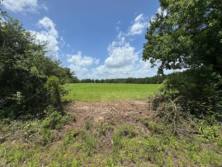 5.76AC Cr 331, Kirbyville, TX 75956 - #2