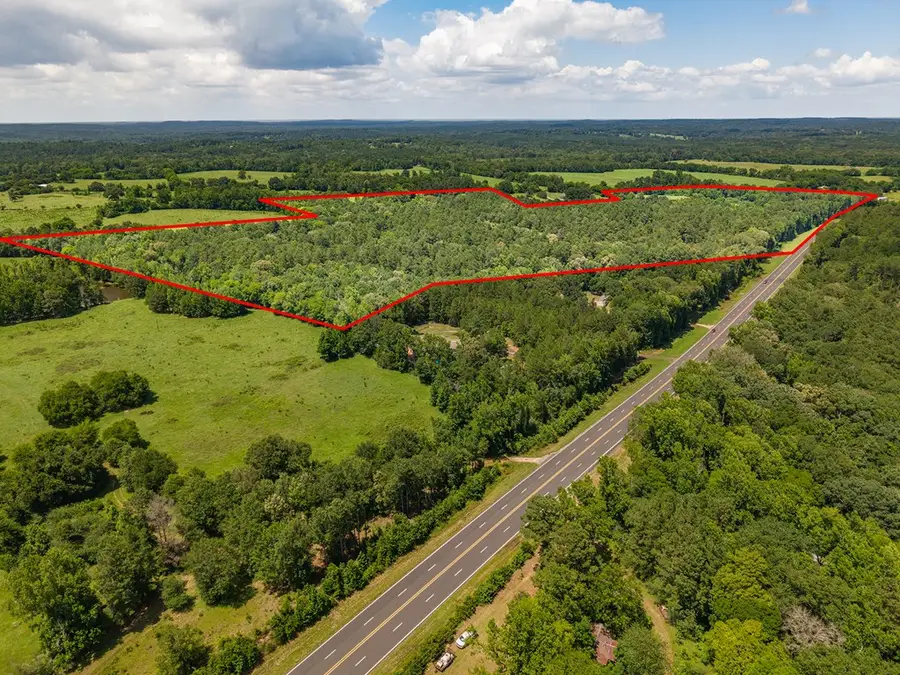 Parcel #28678 Cr 1234, Center, TX 75935 - #3
