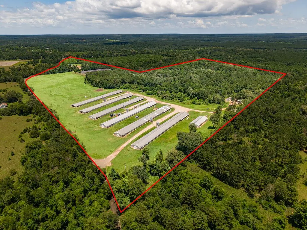 6080 Cr 203, San Augustine, TX 75972 - #1