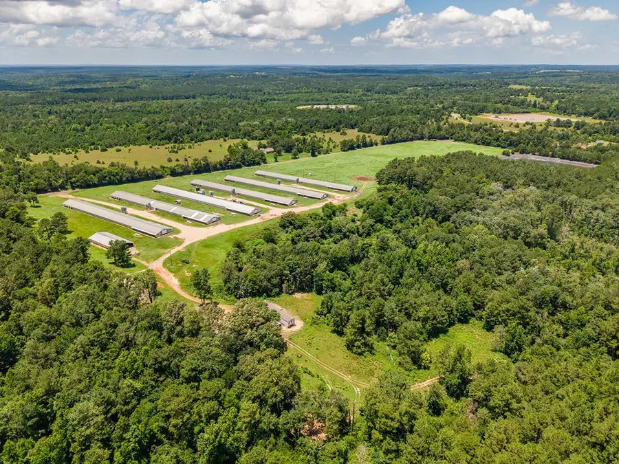 6080 Cr 203, San Augustine, TX 75972 - #3