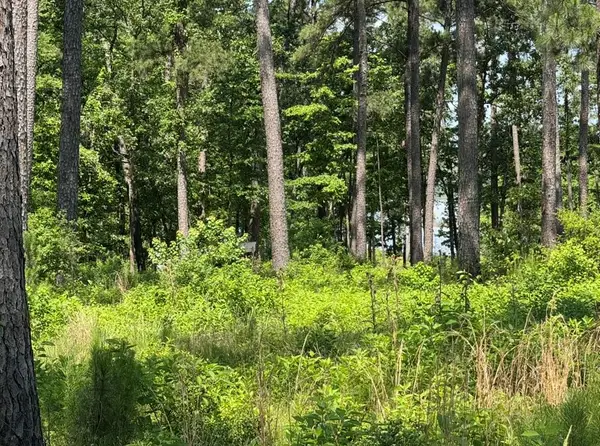 Lot 17 Private Rd 6028, Brookeland, TX 75931