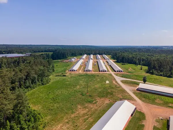 Farm 3 Cr 779, Douglass, TX 75943