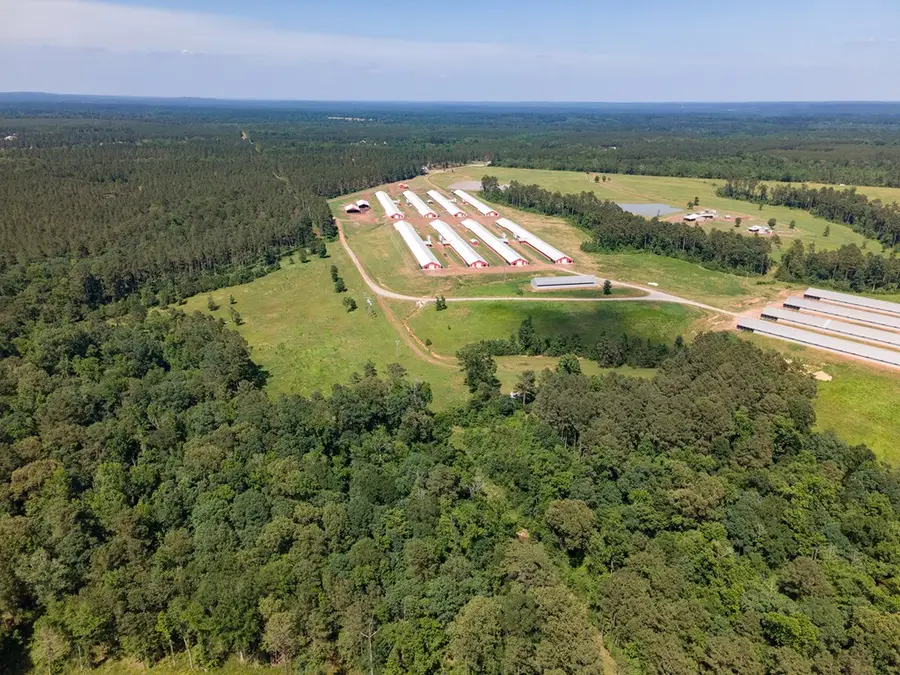 Farm 3 Cr 779, Douglass, TX 75943 - #3