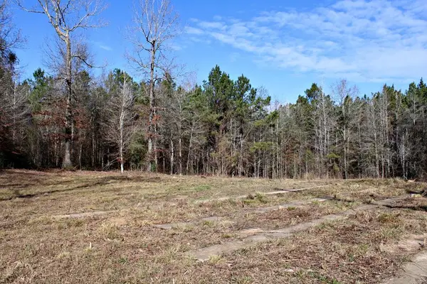 112679 County Road 1058, Wiergate, TX 75977