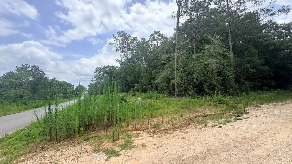 LOT 1 Mill Creek Road, Woodville, TX 75979 - #1