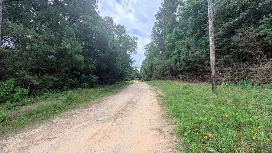 LOT 1 Mill Creek Road, Woodville, TX 75979 - #3