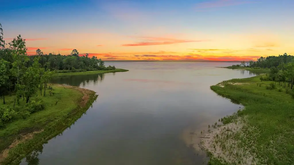 Tract 40 Private Road 8557, Broaddus, TX 75929 - #1