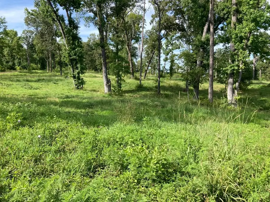 956 Nine Mile Road, Milam, TX 75959 - #3