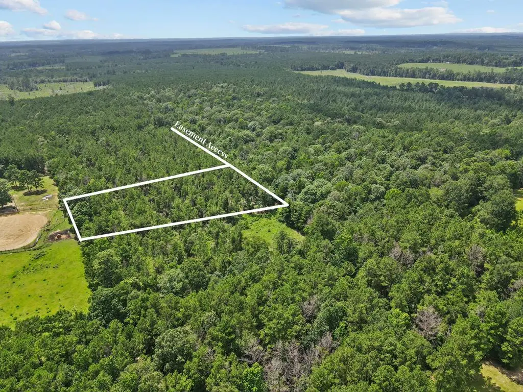 4012 Fm 2992, Woodville, TX 75979 - #1