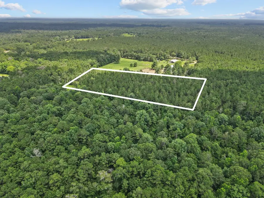 4012 Fm 2992, Woodville, TX 75979 - #2