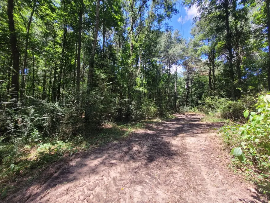 1562 Fm 1013 W, Kirbyville, TX 75956 - #3