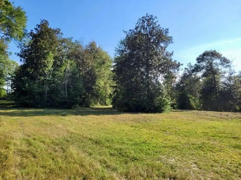 R20035 Fm 1013, Hillister, TX 77624 - #3