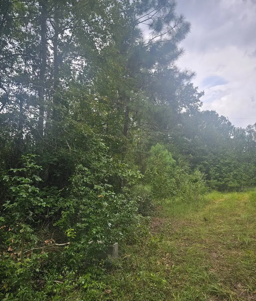 85612 Brentwood Drive, Lufkin, TX 75901 - #2