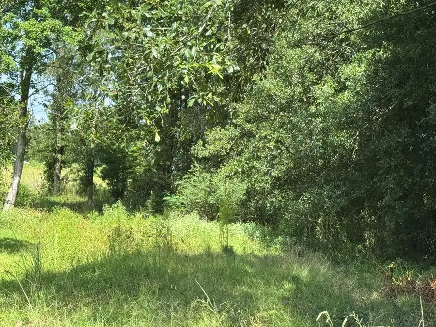 PID# 12971 Hwy 59, Livingston, TX 77351 - #2