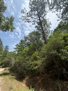 32539 Vantage Drive, Brookeland, TX 75931 - #3