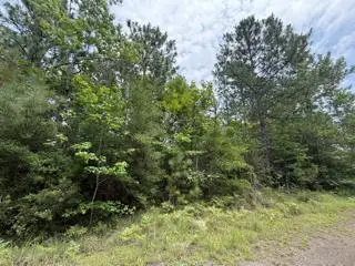 32531 Nicklaus Drive, Brookeland, TX 75931