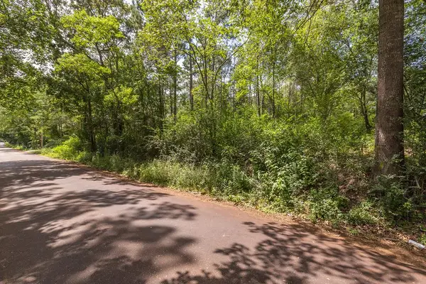 R154975 Old Homer Alto Road, Lufkin, TX 75901