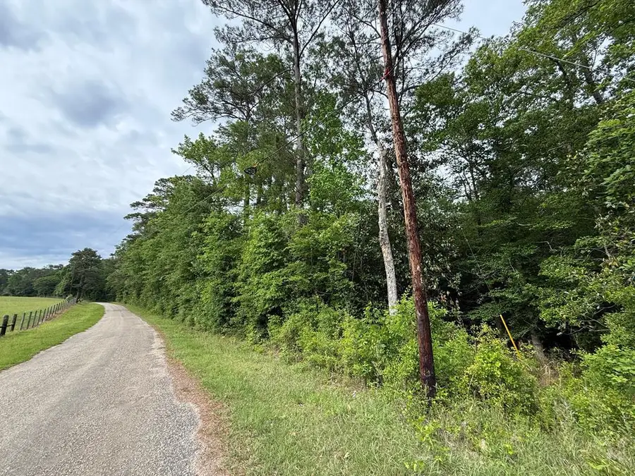 PID# 17056 County Road 451, Roganville, TX 75956 - #2