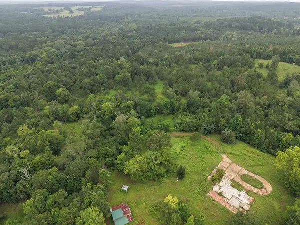 1370 Lickskillet Road, Milam, TX 75959