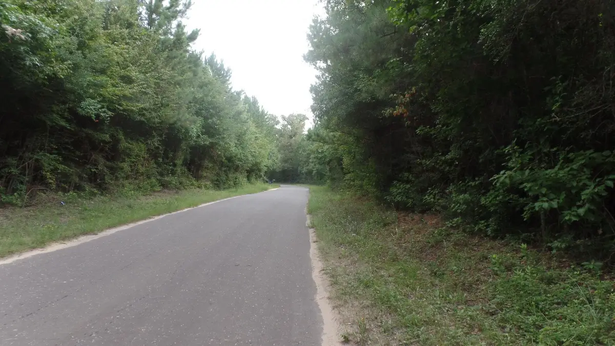 38.655 ac County Road 20, Jasper, TX 75951 - #1