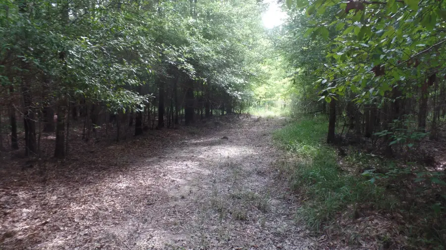 38.655 ac County Road 20, Jasper, TX 75951 - #3