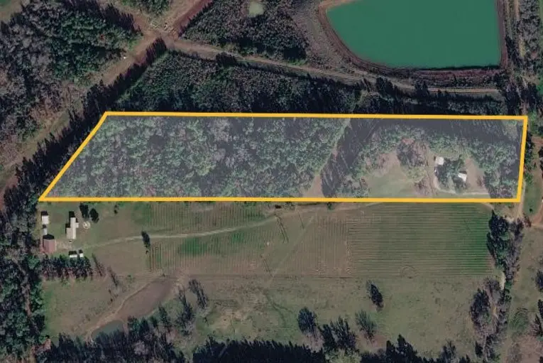 773 Cr 117, San Augustine, TX 75972 - #2