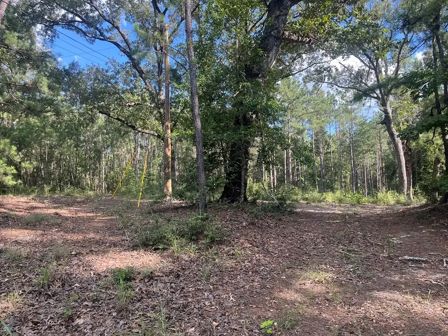15866 Red Oak Drive, Brookeland, TX 75931 - #3