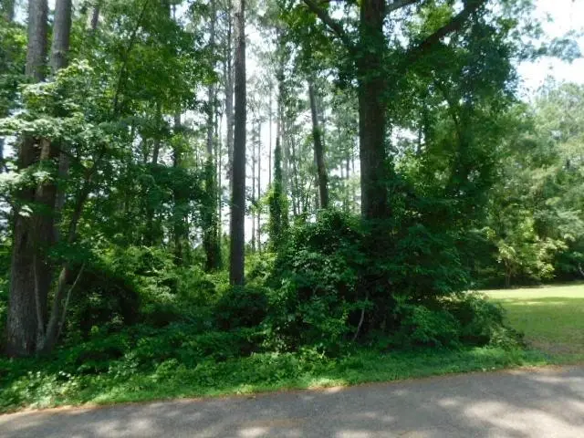 226 Helm Street, Hemphill, TX 75948 - #1