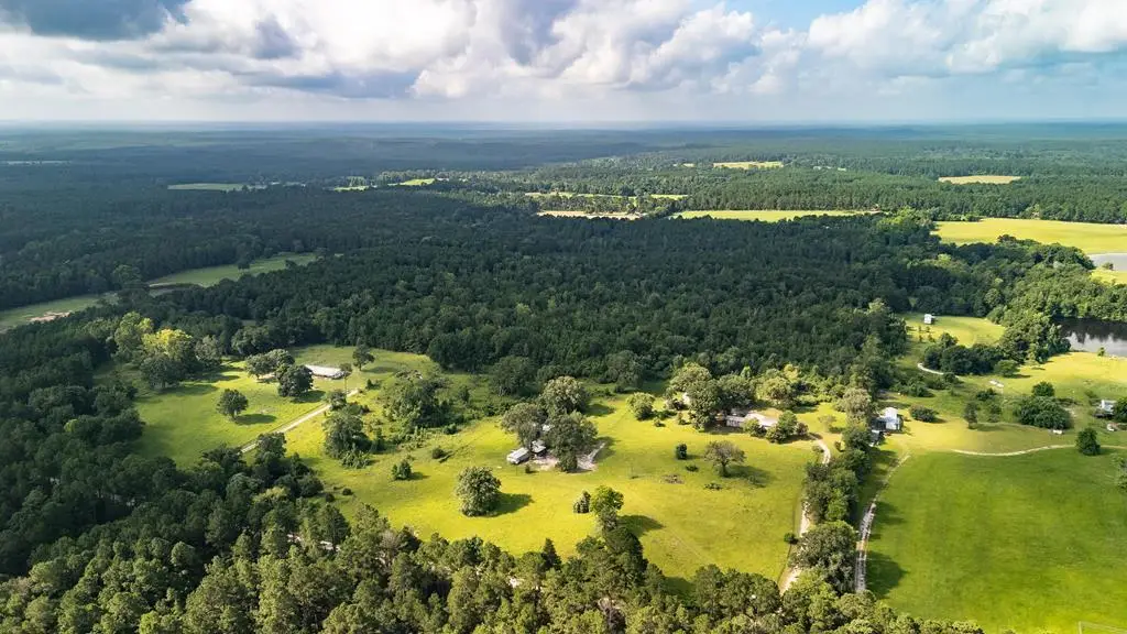 738 Cr 1200, Grapeland, TX 75844 - #1