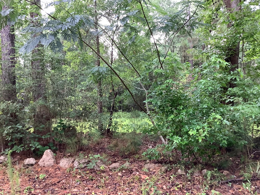 7360 Tx Hwy 62, Buna, TX 77612 - #3