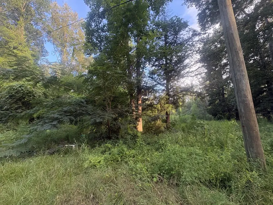 23881 Simpson Ln, Saratoga Batson, TX 77585 - #2