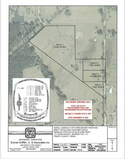 Tract 1 Sullivan Drive, Apple Springs, TX 75926 - #3