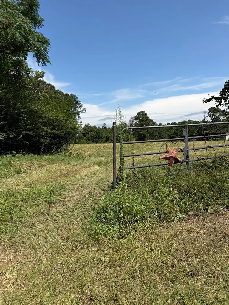 1371 County Road 2335, Center, TX 75935 - #1
