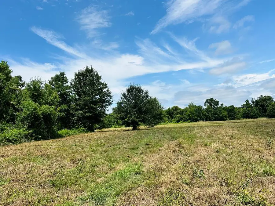 1371 County Road 2335, Center, TX 75935 - #2