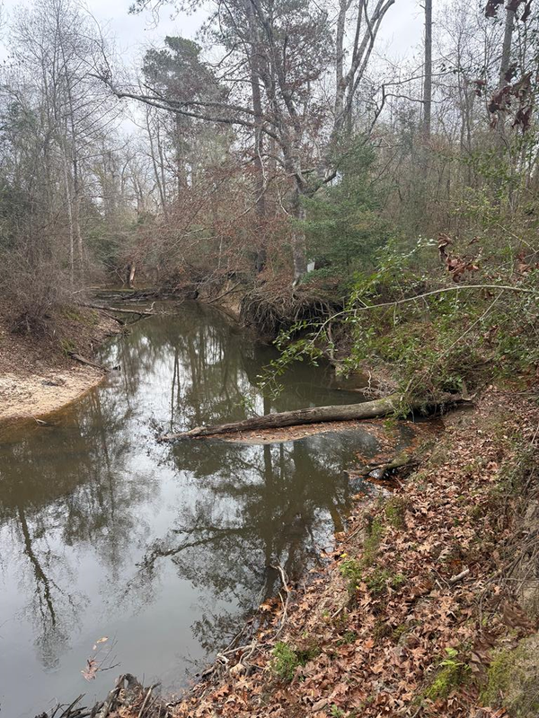 371 Cr 4240, Bon Wier, TX 75928