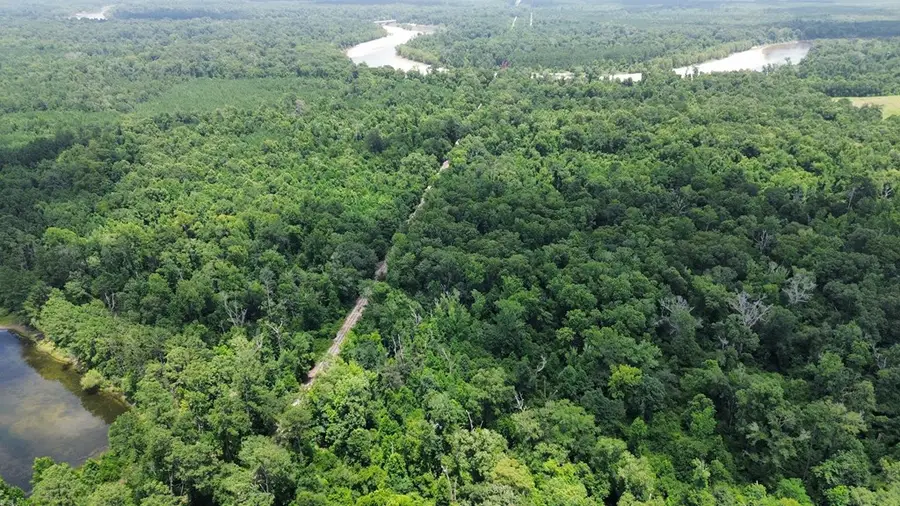371 Cr 4240, Bon Wier, TX 75928 - #3