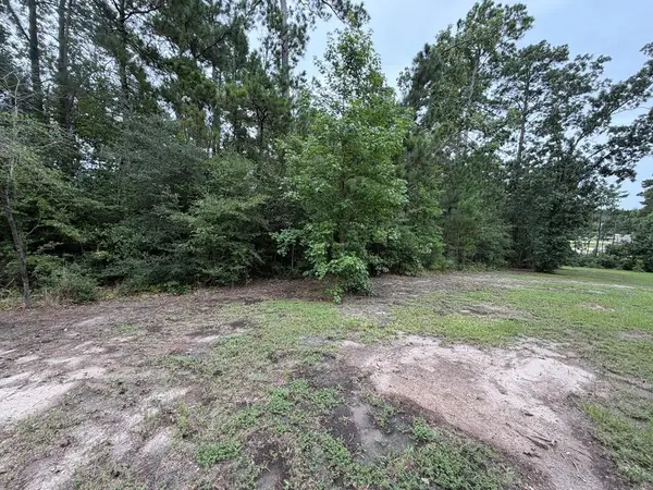 Lot 22 Post Oak Lane, Brookeland, TX 75931