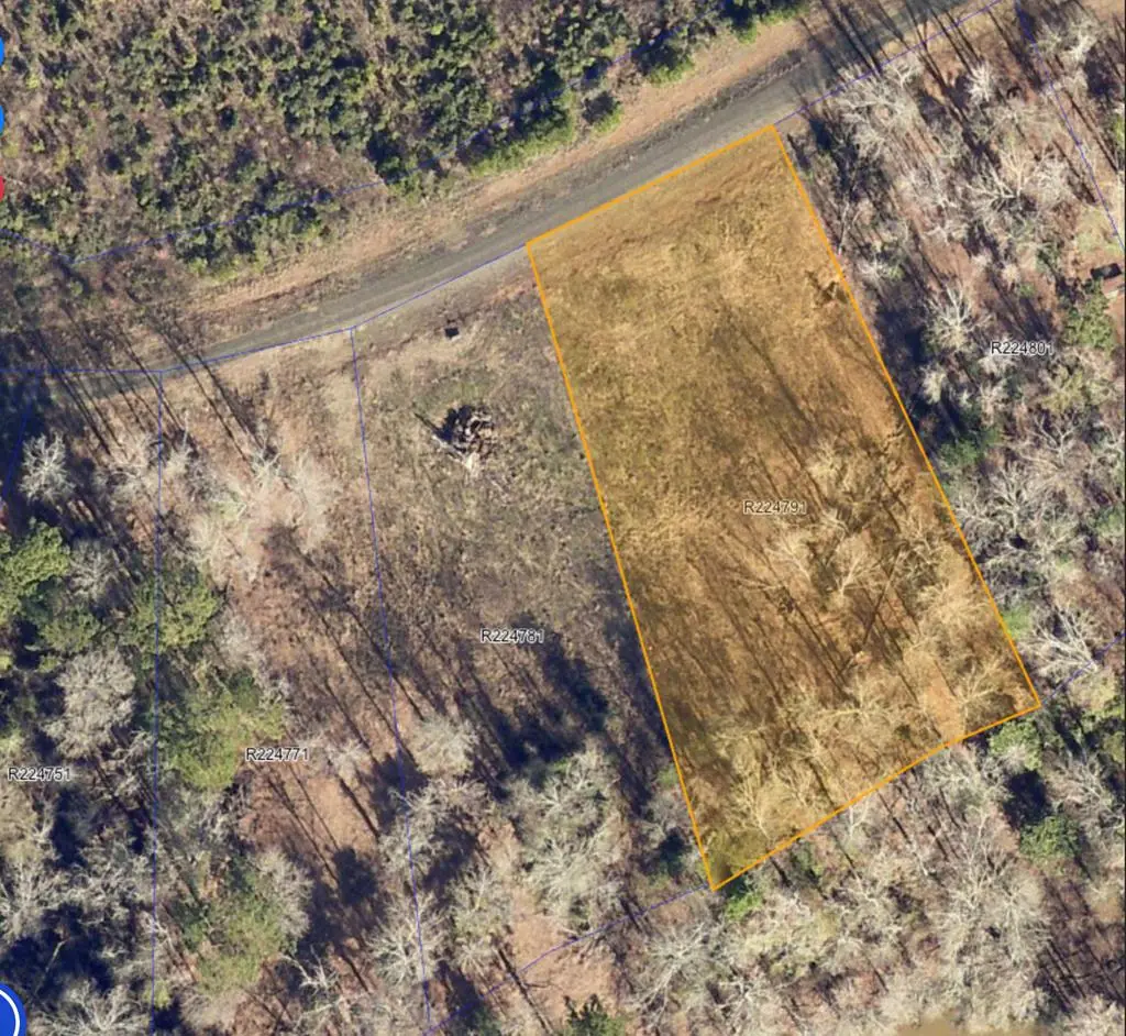 321 Old Tejas Trail West, Hemphill, TX 75948 - #1