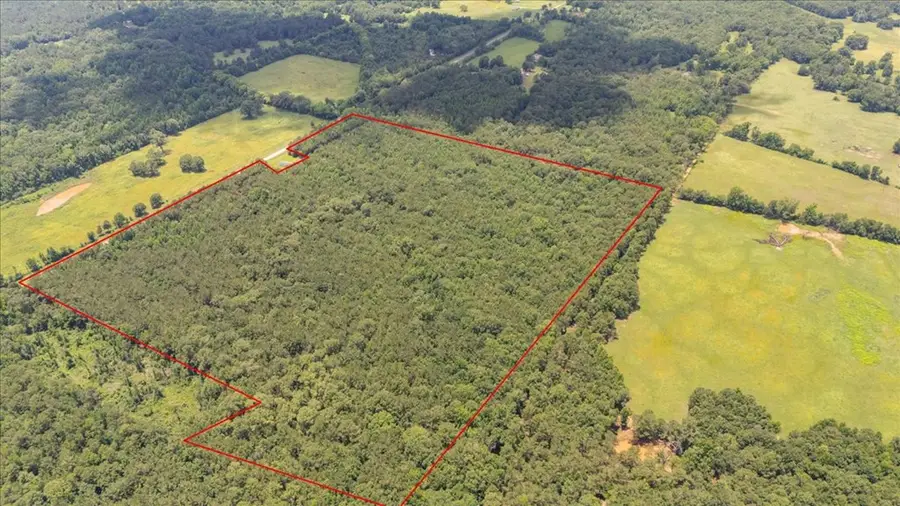 50.795 ac Fm 2496, Mount Enterprise, TX 75681 - #3