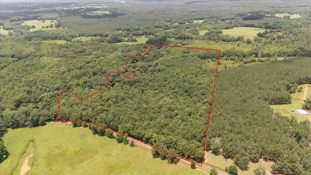 38.110 ac Cr 3206, Mount Enterprise, TX 75681 - #1