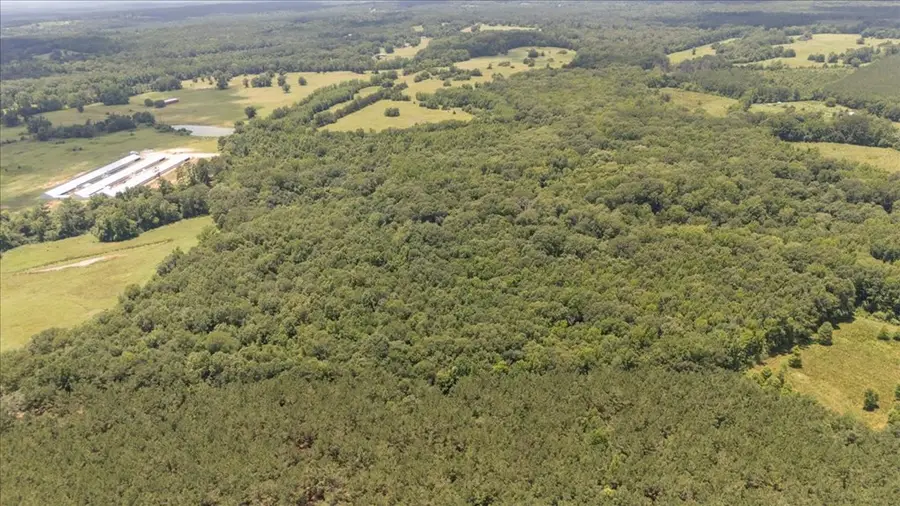 38.110 ac Cr 3206, Mount Enterprise, TX 75681 - #3