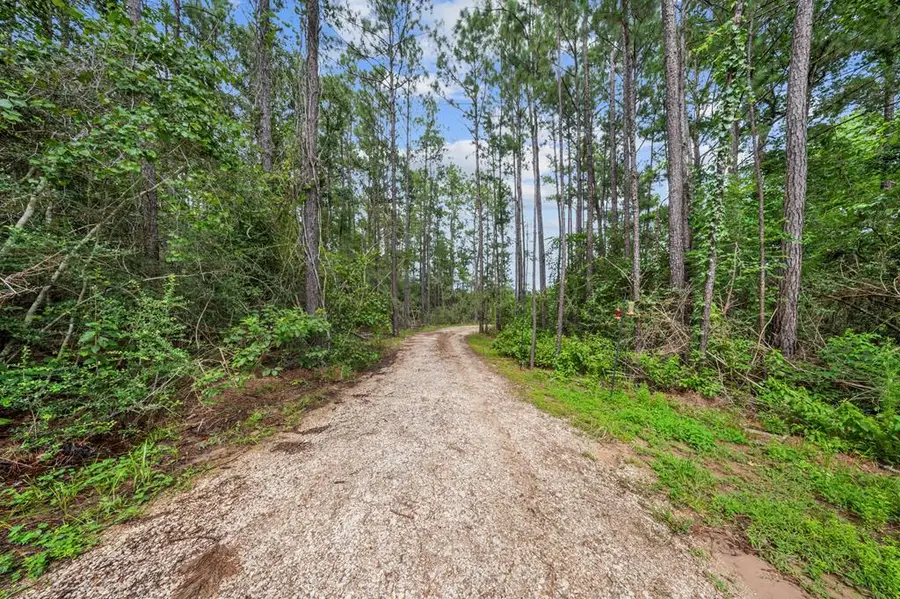 4375 County Road 034, Jasper, TX 75951 - #2