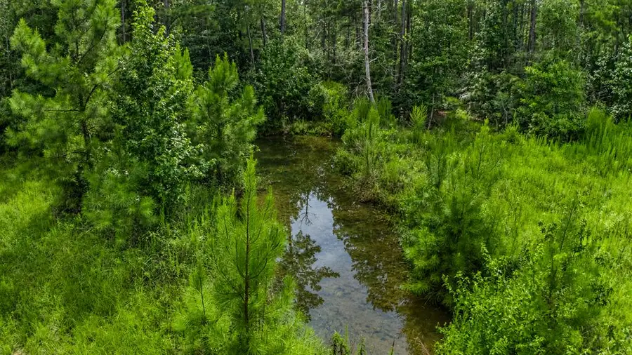 4375 County Road 034, Jasper, TX 75951 - #3
