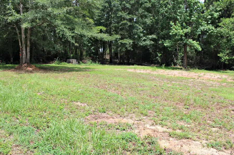 220 Blue Bonnet, Newton, TX 75966 - #2