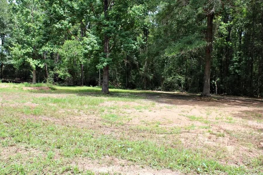 220 Blue Bonnet, Newton, TX 75966 - #3