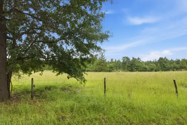 115355 & 115353 Cr 2501, Alto, TX 75925