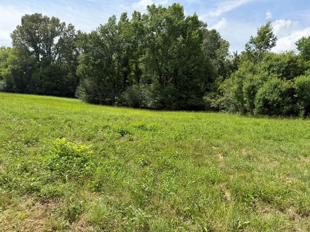 ID # 16589 Cr 4425, Timpson, TX 75975 - #1