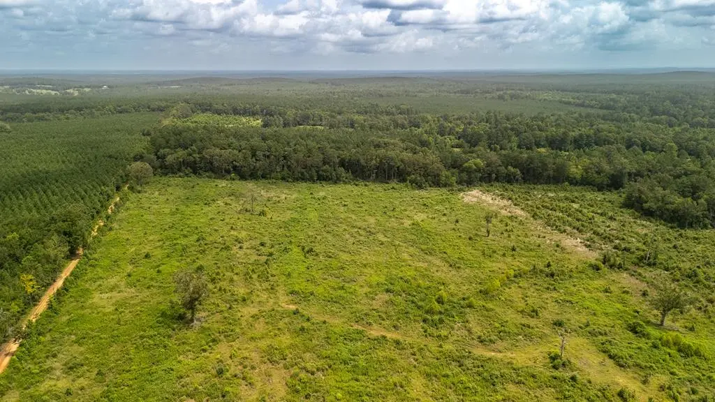 PID #R12191 County Road 4686, Tenaha, TX 75974 - #1