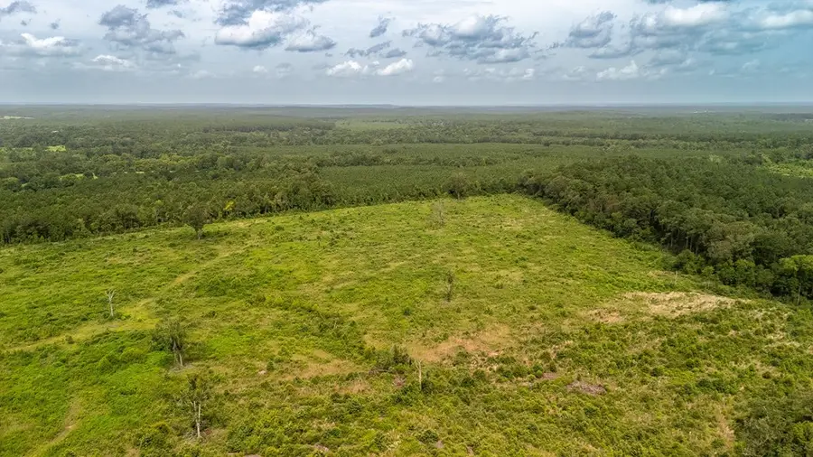 PID #R12191 County Road 4686, Tenaha, TX 75974 - #3